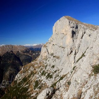 Monte alto Pelsa